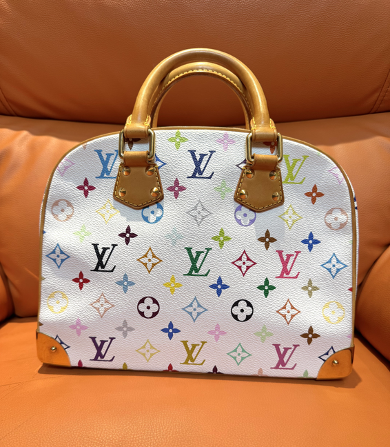 Pre-Loved Designer Multicolor Canvas Handbag – Alma PM Style