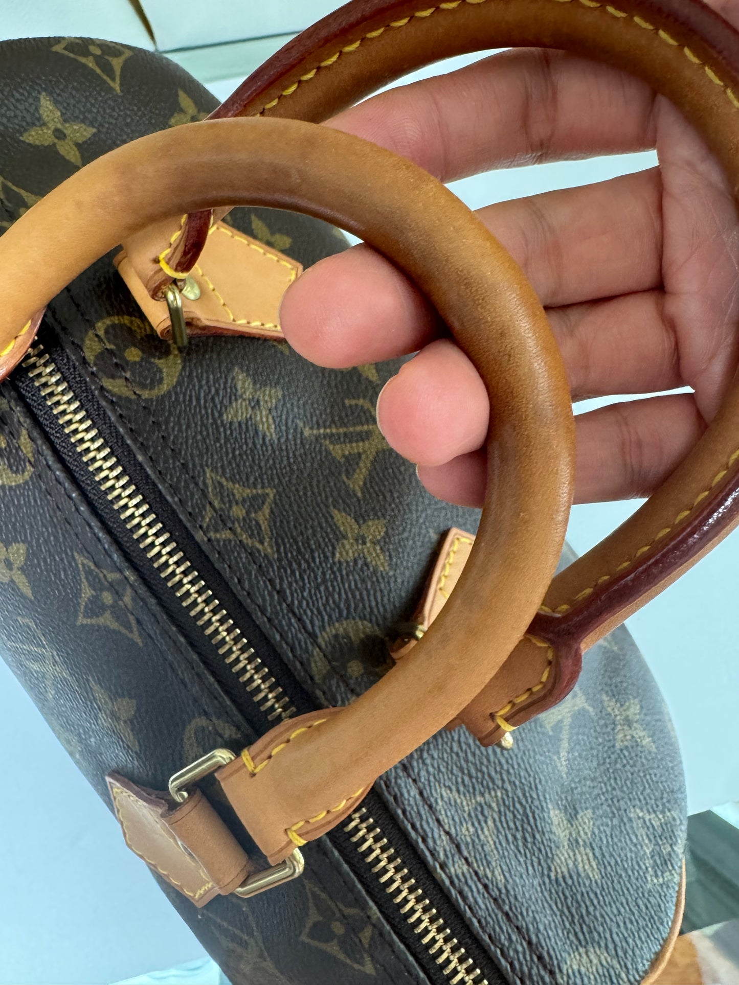 Pre-Owned Louis Vuitton Speedy 25 Monogram Canvas Handbag