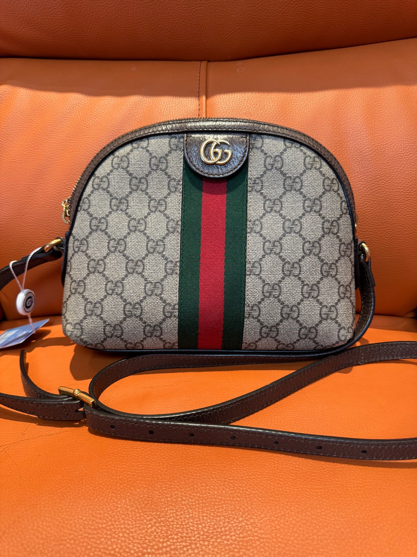 Pre-Loved Gucci Ophidia GG Supreme Mini Crossbody Bag