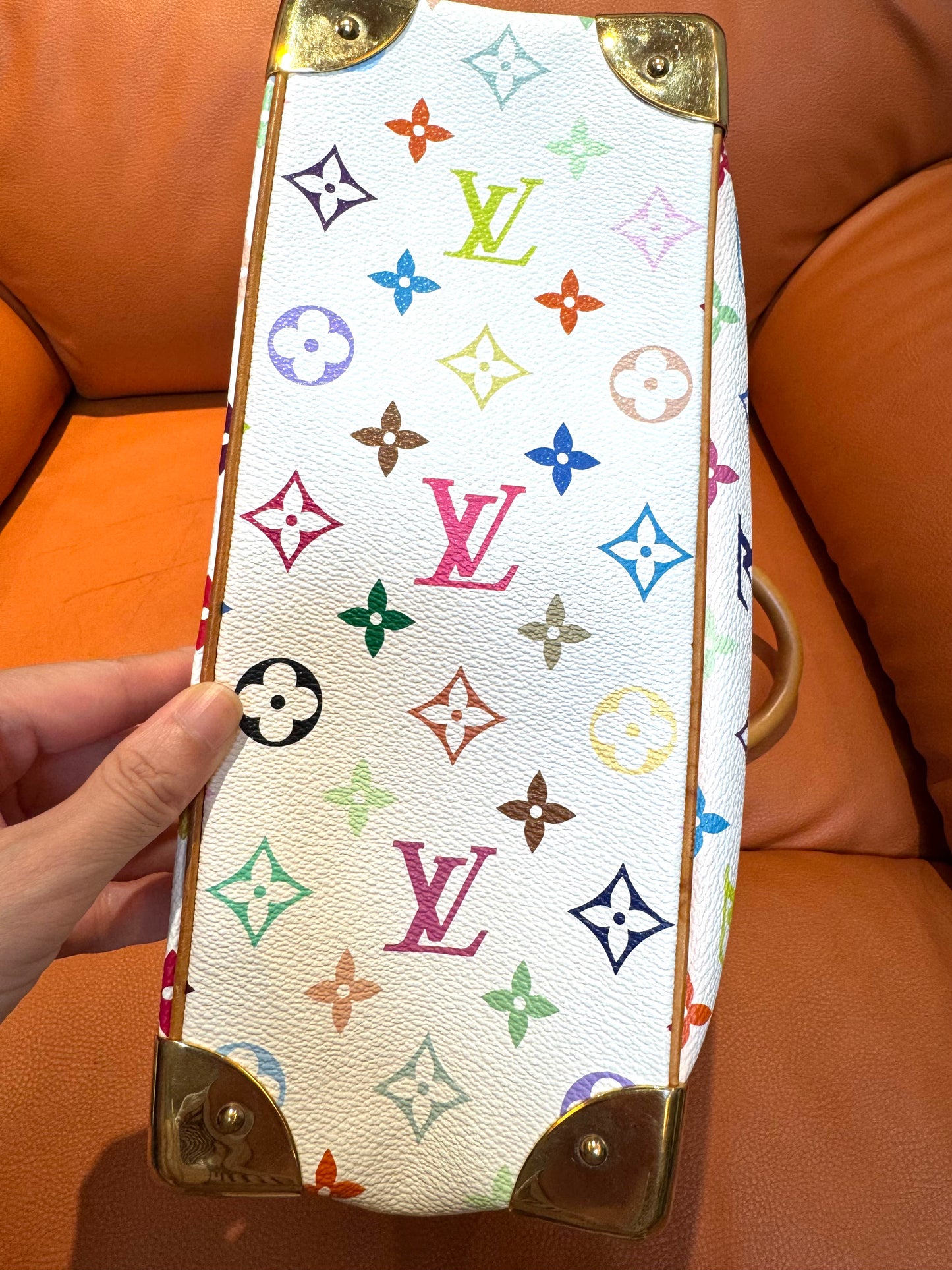 Pre-Loved Designer Multicolor Canvas Handbag – Alma PM Style