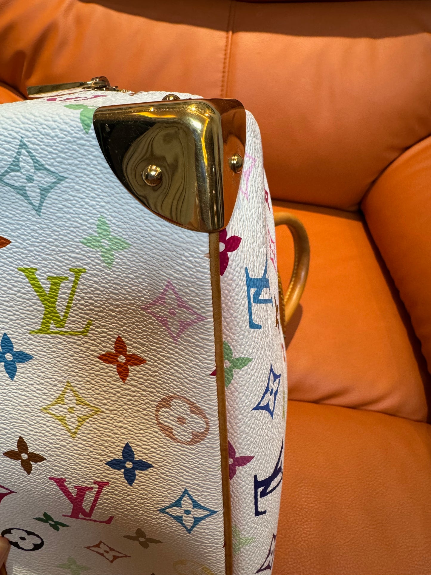 Pre-Loved Designer Multicolor Canvas Handbag – Alma PM Style